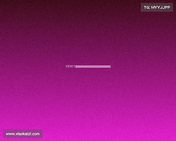 FIFA11世界杯全景回顾传奇瞬间再现绿茵荣耀时刻足球盛宴记